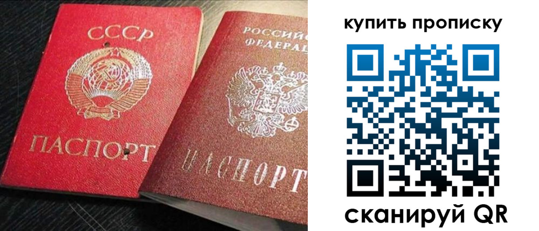 временная регистрация гарантия в Ельне