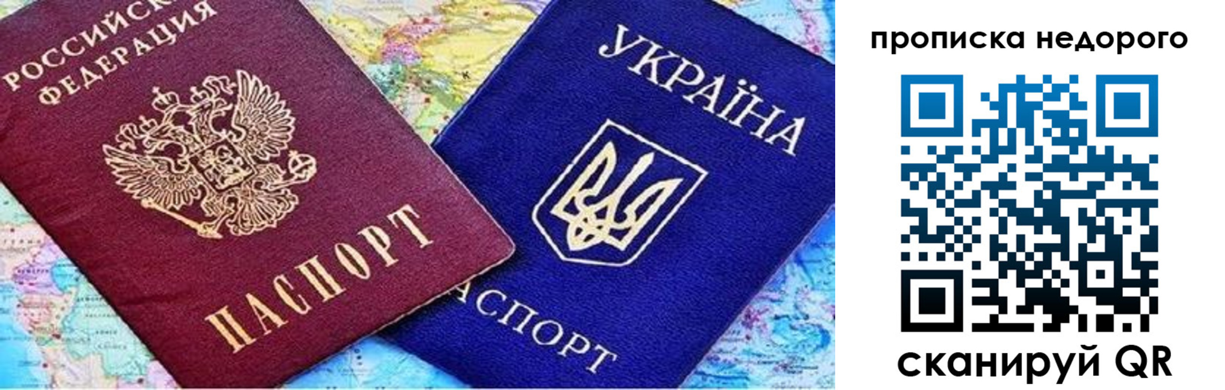 где прописаться в Ельне